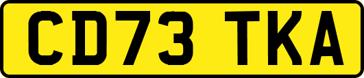 CD73TKA