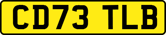 CD73TLB