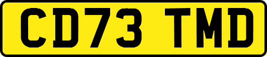 CD73TMD