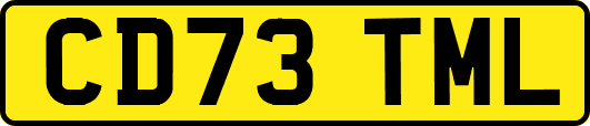 CD73TML