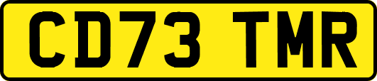 CD73TMR