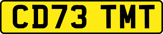 CD73TMT