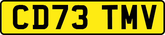 CD73TMV