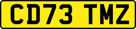 CD73TMZ