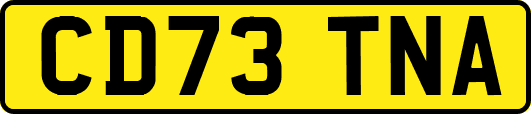 CD73TNA