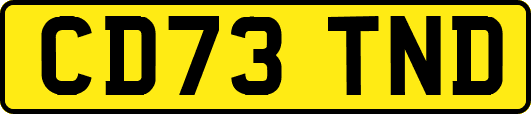 CD73TND
