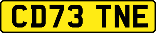 CD73TNE