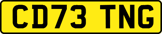 CD73TNG