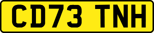 CD73TNH