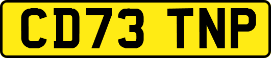 CD73TNP