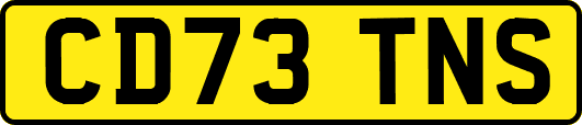 CD73TNS