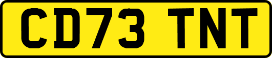 CD73TNT