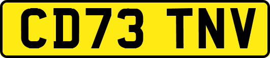 CD73TNV