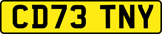 CD73TNY