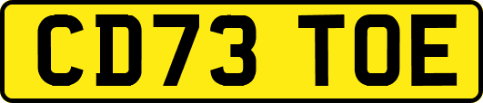 CD73TOE