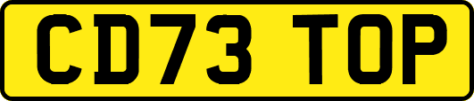 CD73TOP