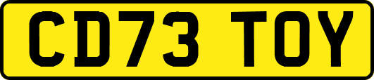 CD73TOY