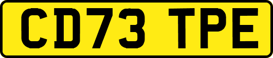 CD73TPE