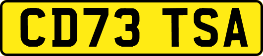 CD73TSA