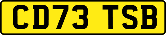 CD73TSB