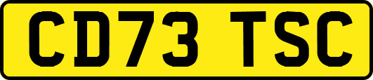 CD73TSC