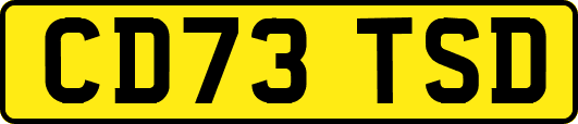 CD73TSD
