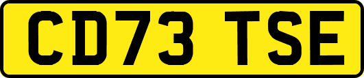 CD73TSE