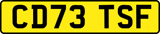 CD73TSF