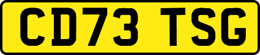 CD73TSG