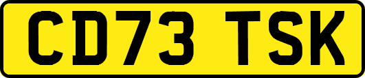 CD73TSK