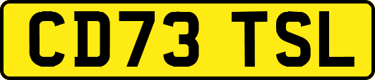 CD73TSL