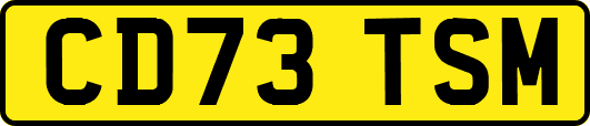 CD73TSM