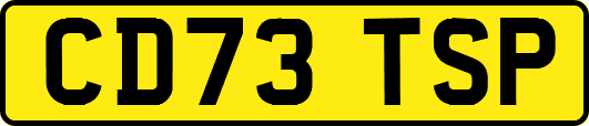 CD73TSP