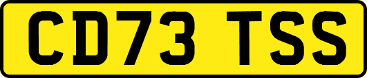 CD73TSS