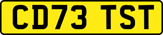 CD73TST