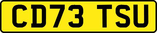 CD73TSU