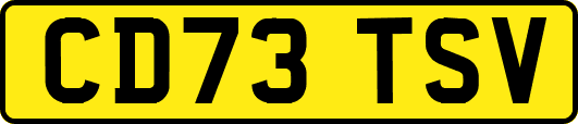 CD73TSV