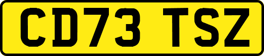 CD73TSZ