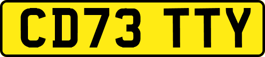 CD73TTY
