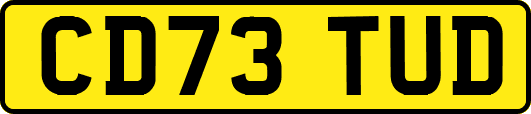 CD73TUD