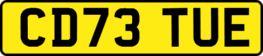 CD73TUE
