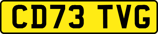 CD73TVG