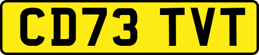 CD73TVT