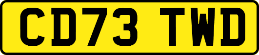 CD73TWD