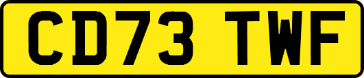 CD73TWF