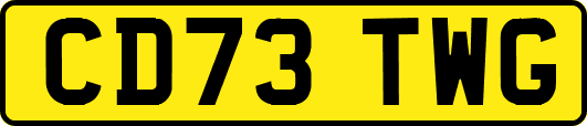 CD73TWG