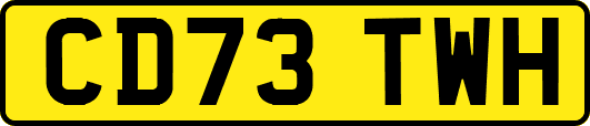 CD73TWH
