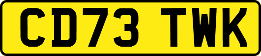 CD73TWK
