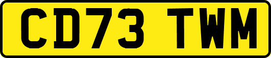CD73TWM