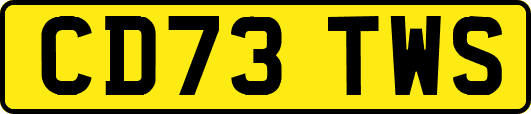 CD73TWS